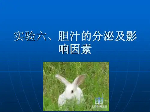 实验六家兔胆汁的分泌