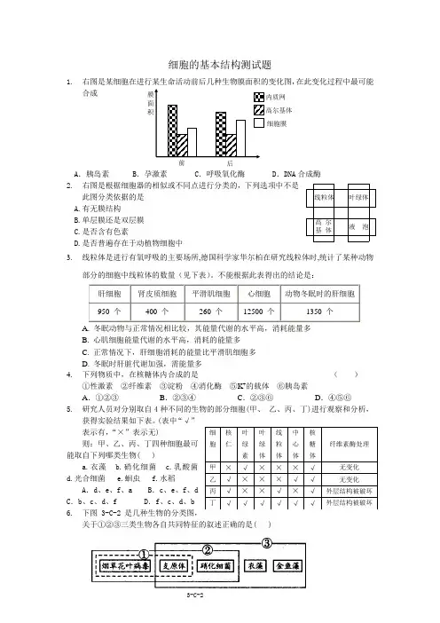 细胞的基本结构测试题