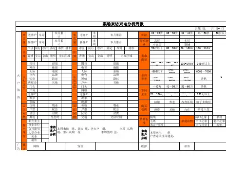 项目周报表模板