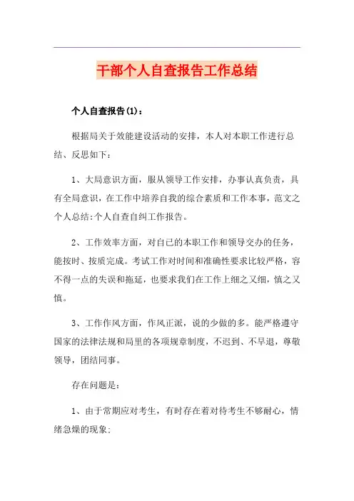 干部个人自查报告工作总结