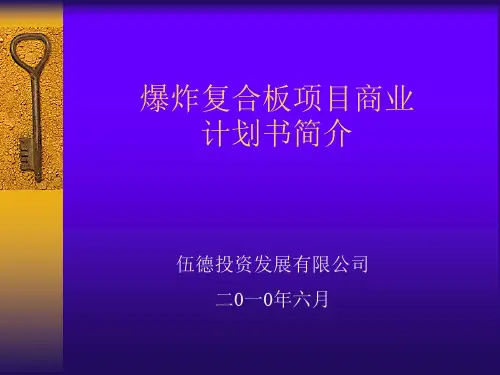 爆炸复合板项目商业计划书