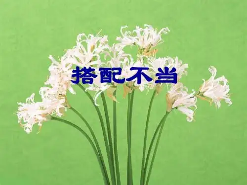 搭配