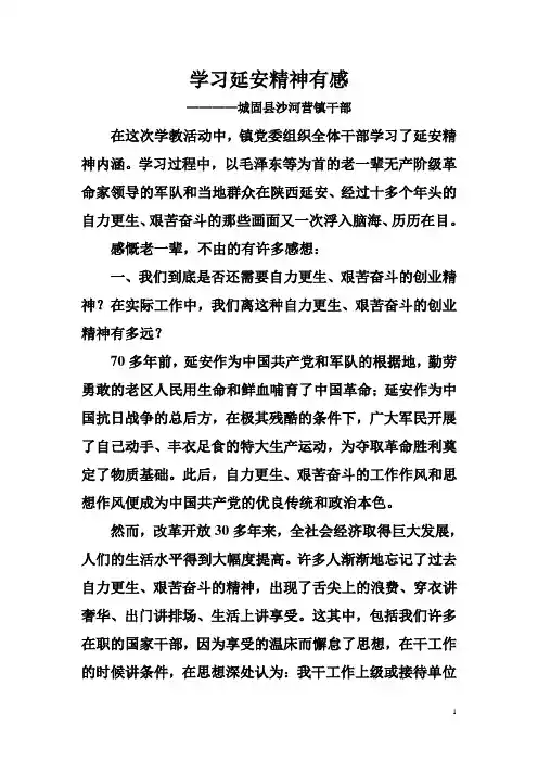 学习延安精神心得体会