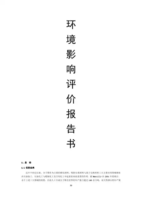分子筛项目环评报告书