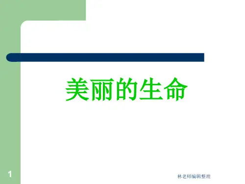《美丽的生命》课件3