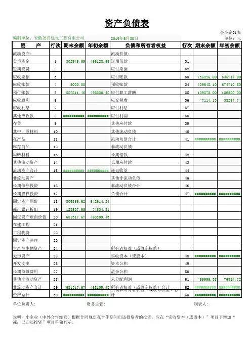 资产负债表201906(1)