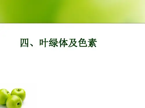 光合作用——叶绿体和过程