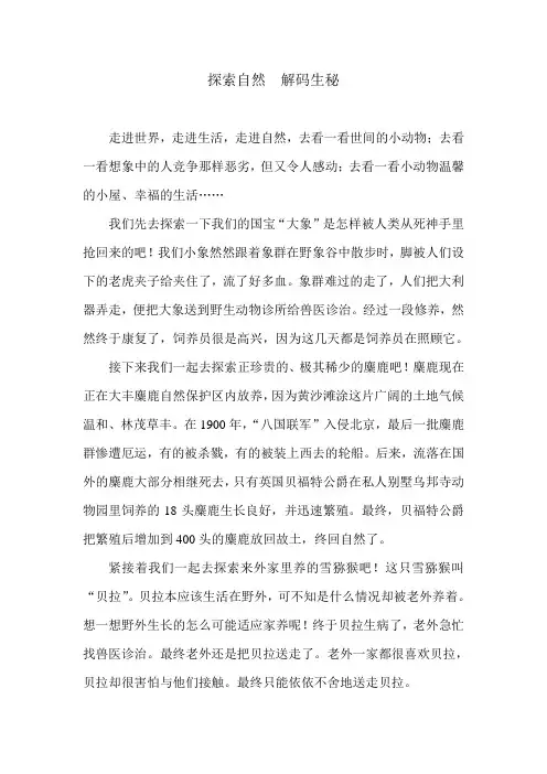 小学生习作例文