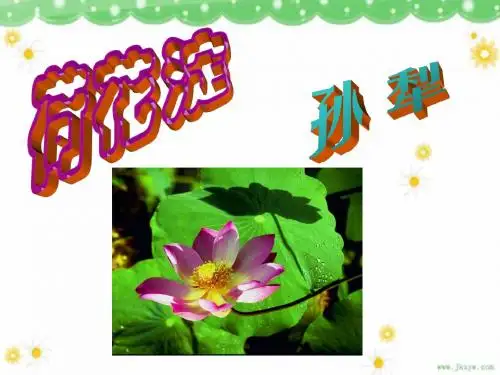 荷花淀