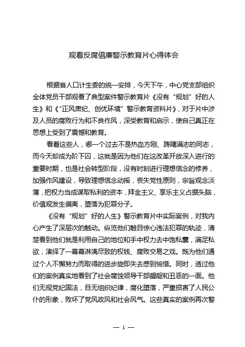 观看警示片心得体会