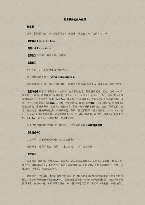 相思藤的功效与作用