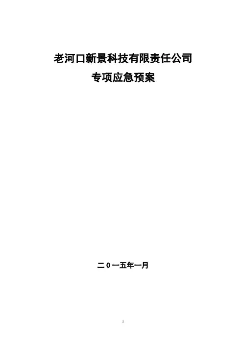 专项应急预案 3