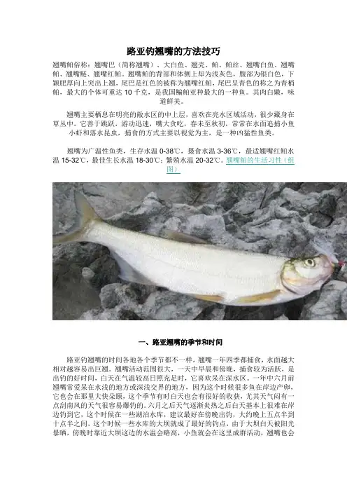 路亚钓翘嘴的方法技巧