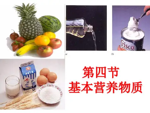 高中化学必修二《34基本营养物质》课件