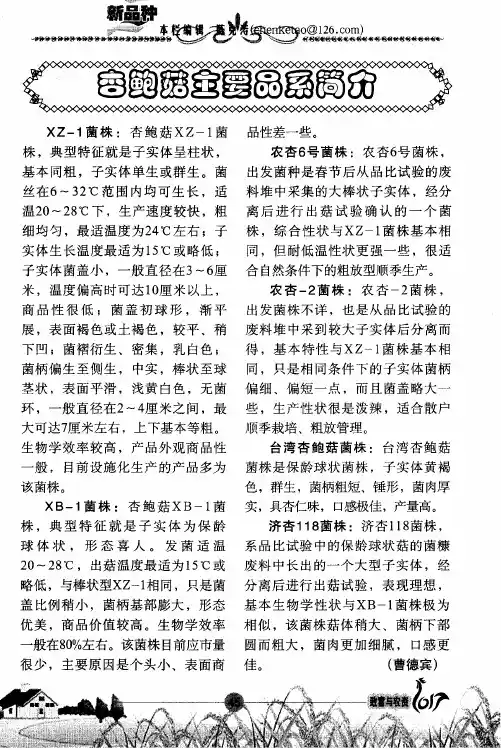 杏鲍菇主要品系简介