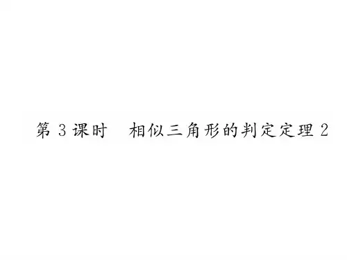 第3课时 相似三角形的判定定理2