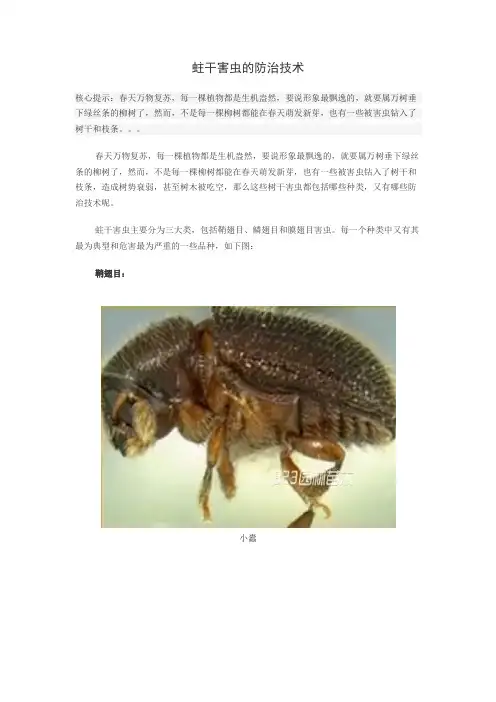 蛀干害虫的防治技术