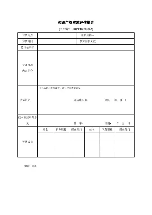 知识产权体系：知识产权实施评估报告