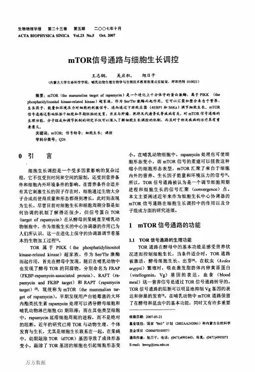 mTOR信号通路与细胞生长调控