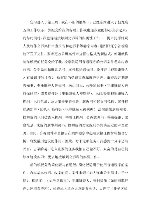 检察院实习周记 第三周·审查报告