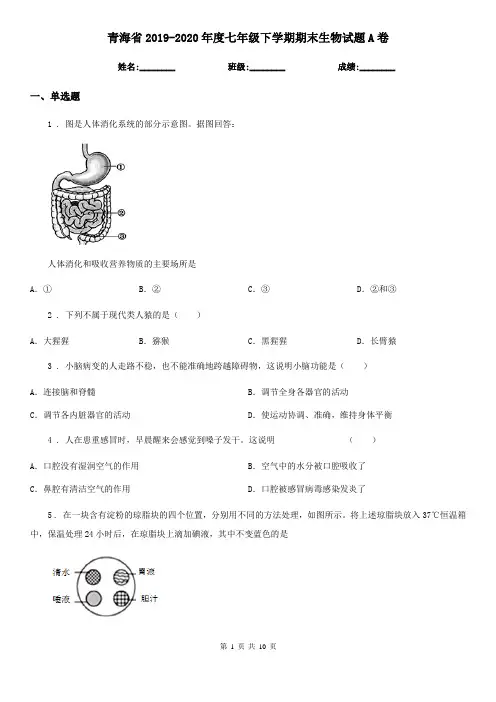 青海省2019-2020年度七年级下学期期末生物试题A卷
