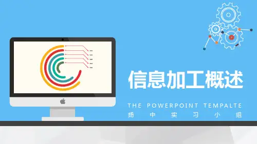 信息加工概述