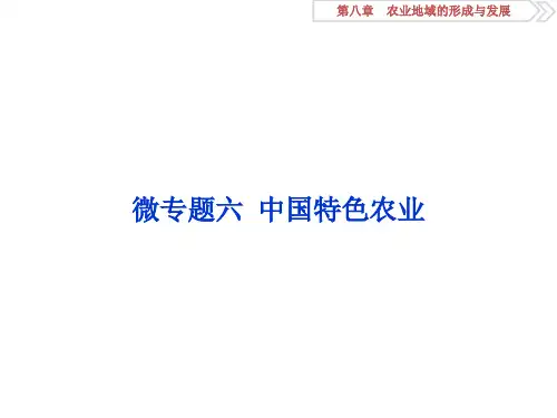 3 微专题六 中国特色农业