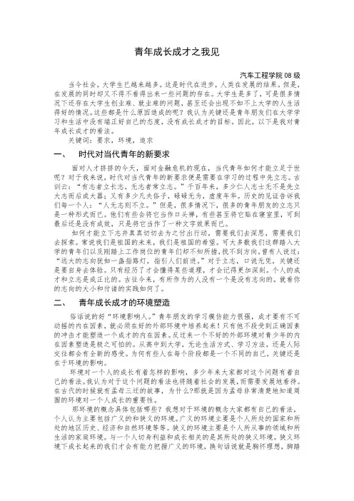 青年成才之我见
