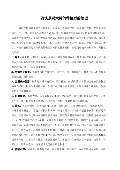 大树移植后的管护