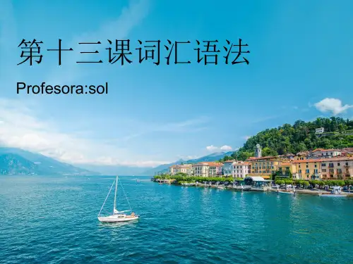 西班牙语学习课件 第十三课语法课文课文练习