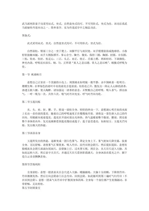 武当派纯阳童子功