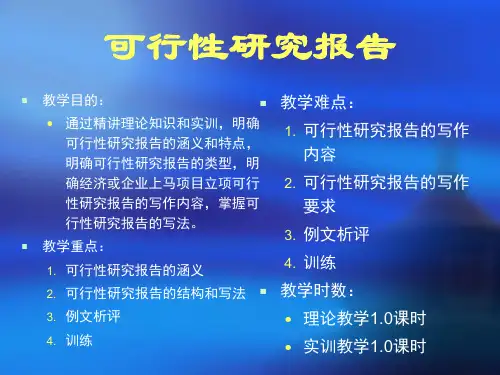 可行性研究报告(1)