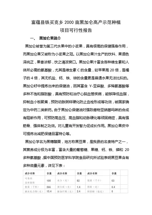 黑加仑可行性报告