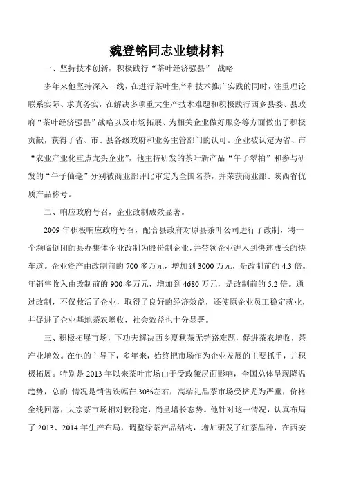 业绩材料