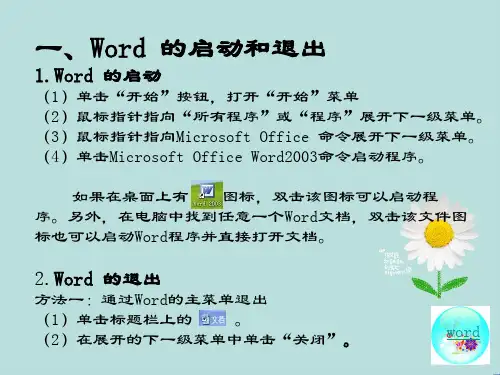 word的基本操作