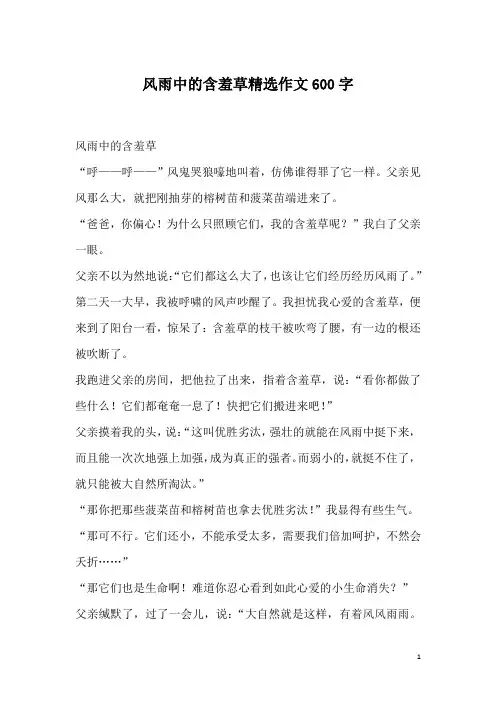 风雨中的含羞草精选作文600字