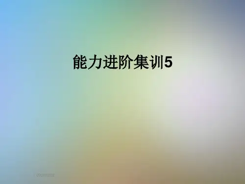 能力进阶集训5