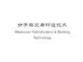 分子杂交与印迹技术.