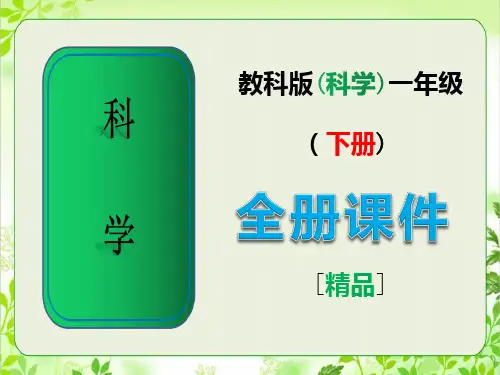 教科版科学一年级下册全册完整课件【免费】