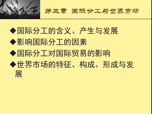 国际分工与世界市场1