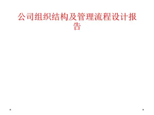 公司组织结构及管理流程设计报告