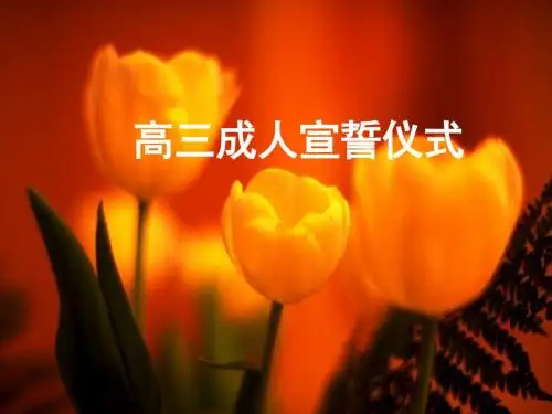 青春期教育班会《高三成人宣誓仪式——无悔的青春》PPT课件