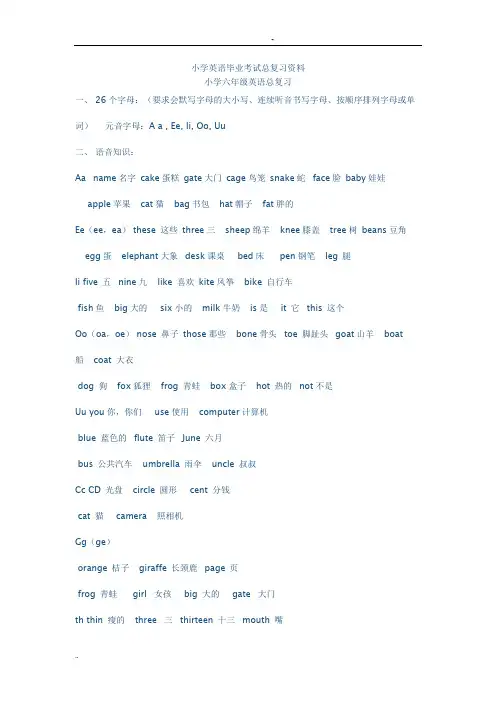 小学英语毕业考试总复习资料