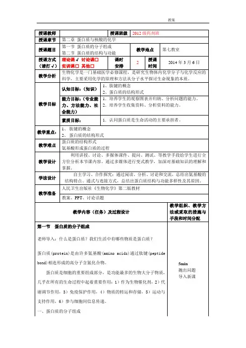 生物化学教案 第二章  蛋白质的结构与功能
