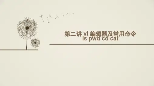 vi编辑器及常用命令ls pwd cd cat