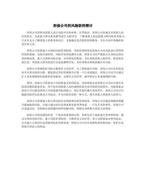 担保公司的风险防控探讨