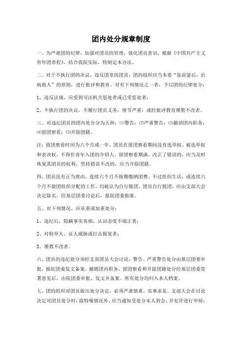 团内处分规章制度