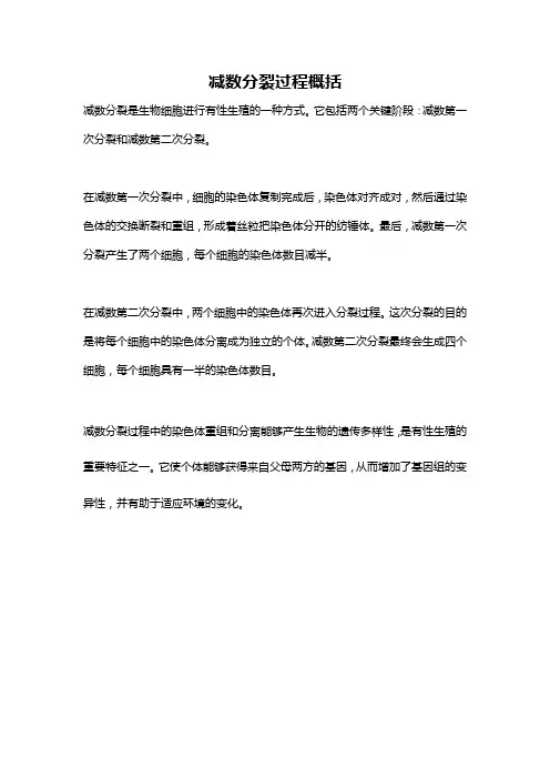 减数分裂过程概括
