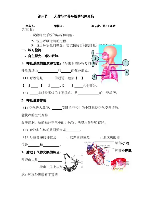 人体与外界环境的气体交换教案