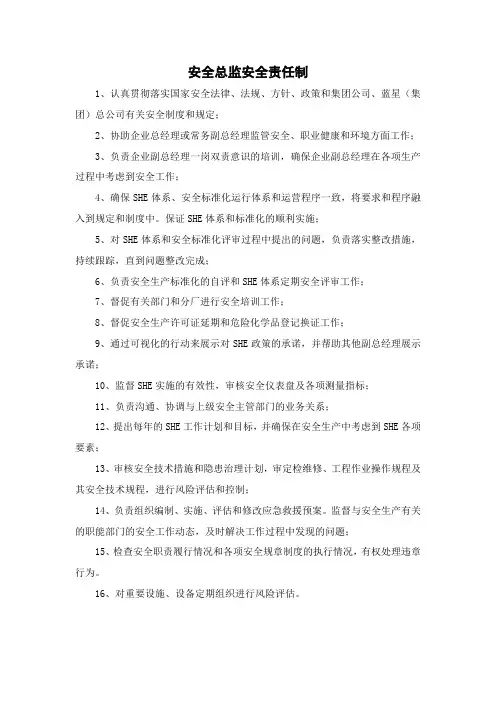 安全总监安全责任制